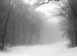 An image of the snow conditions on the the Lower Turnpike trail after some early November snowfall at Bolton Valley Ski Resort in Vermont