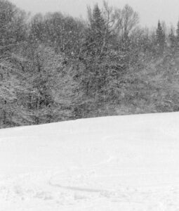 An image of ski tracks in a bit of fresh snow on the Sprig O' Pine trail with heavy snowfall during an early December snowstorm at Bolton Valley Ski Resort in Vermont