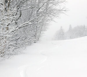 An image of ski tracks in powder snow on the Fanny Hill trail during an early December snowstorm at Bolton Valley Ski Resort in Vermont