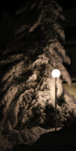An image of a light revealing evergreens caked with snow from recent early December snowfall in the Village at Bolton Valley Ski Resort in Vermont