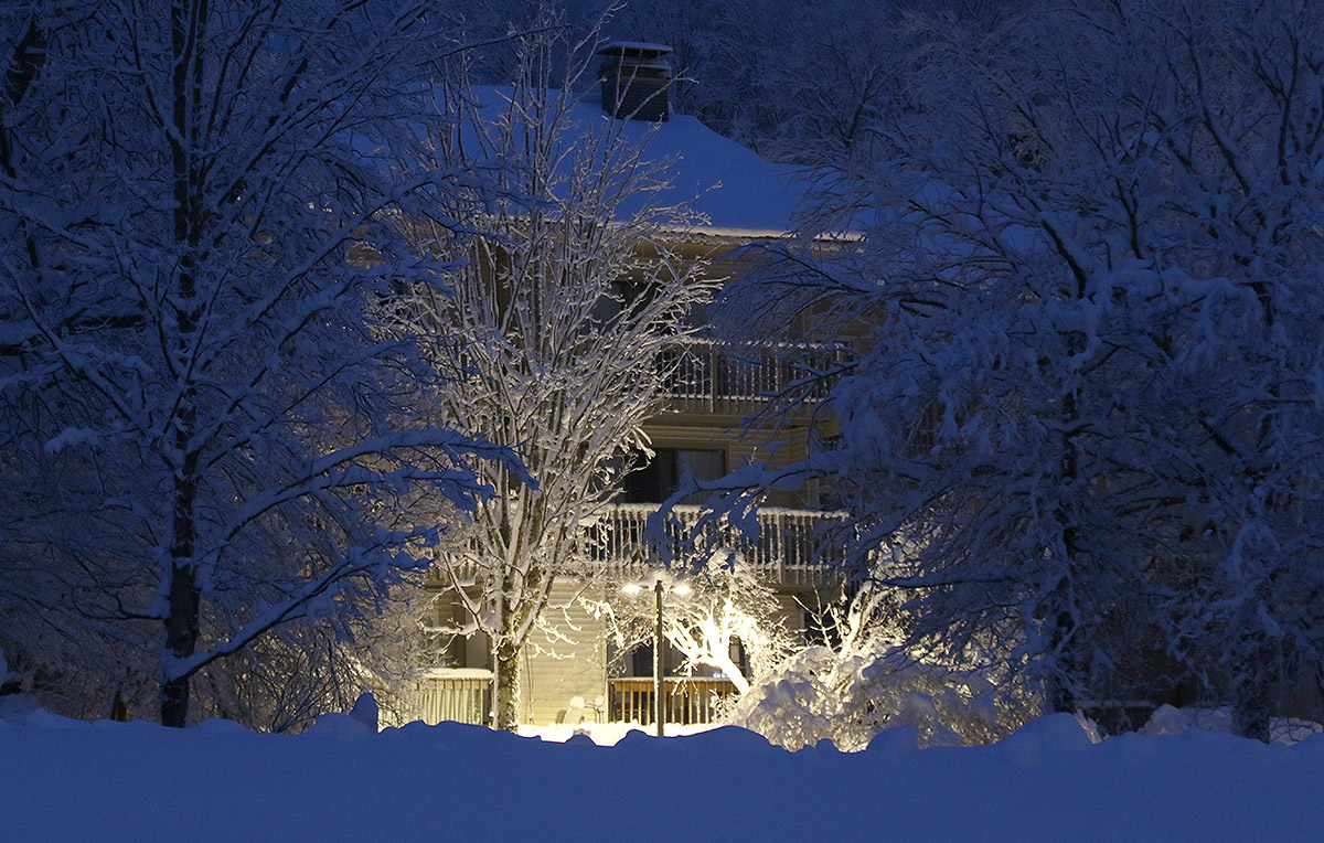 A night image with lights revealing snow covered branches from recent early December snowstorms hitting the Village at Bolton Valley Ski Resort in Vermont