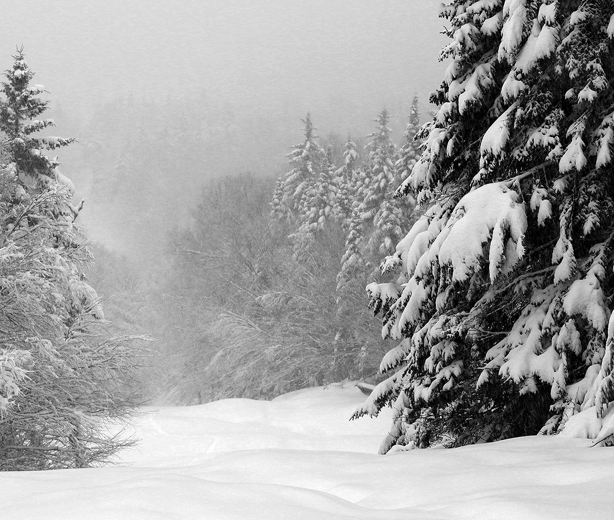 An image looking down the Villager ski trail choked with fresh snow from near the Timberline Summit during a December snowstorm at Bolton Valley Ski Resort in Vermont