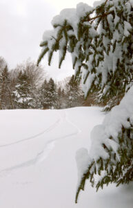 An image of some ski tracks on the Fanny Hill trail after 15 inches fell from Winter Storm Cait in late November at Bolton Valley Ski Resort in Vermont