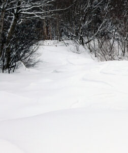 An image of ski tracks on the Upper Fanny Hill trail after 15 inches of snow from Winter Storm Cait at Bolton Valley Ski Resort in Vermont