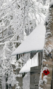 An image of icicles and fresh snow on the roof of the Bryant Cabin along the Nordic and Backcountry Network of ski trails at Bolton Valley Ski Resort in Vermont