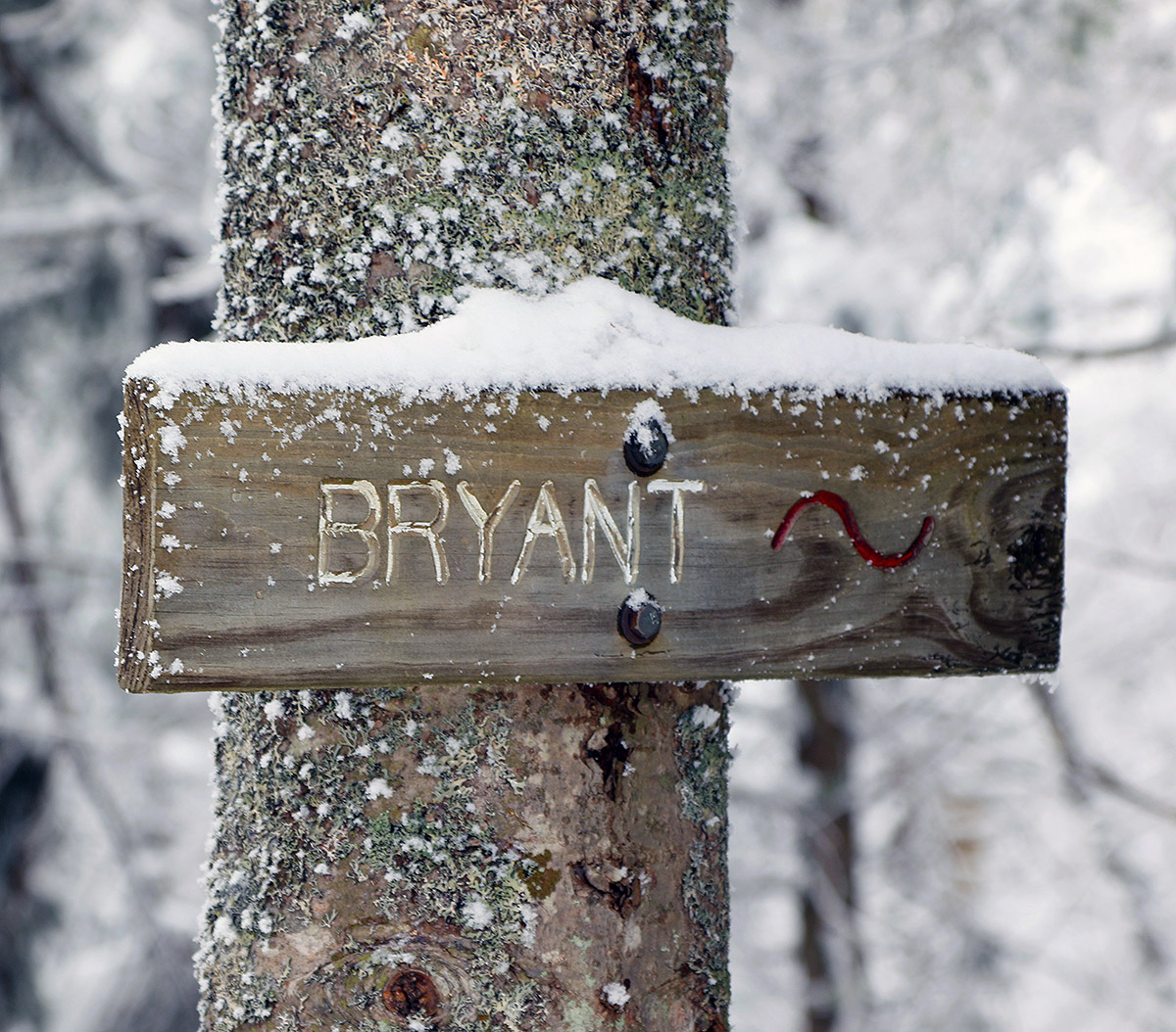 An image of fresh snow on a trail sign for the Brant Trail on the Nordic and Backcountry network of ski trails at Bolton Valley Ski Resort in Vermont