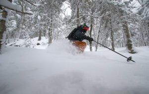 An image of Ty slicing through powder while Telemark skiing in the Branches glade area of the Nordic and Backcountry Network of trails at Bolton Valley Ski Resort in Vermont