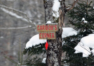 An image of the Caribou's Corner sign in the Beaver Pond area of the Nordic and Backcountry Network at Bolton Valley ski Resort in Vermont