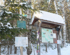 An image showing the trailhead area for the Upper Gorge Loop Trail of the Sterling Town Forest in Stowe, Vermont