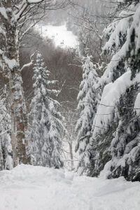 An image of steep terrain in the Devil's Playground area in April with plentiful fresh snow from Winter Storm Tormund at Bolton Valley Ski Resort in Vermont