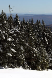 An image looking eastward from Mt. Mansfield in Vermont out toward the snow-capped White Mountains of New Hampshire while ski touring at Stowe Mountain resort after a mid-October snowstorm brought over a foot of snow to the local peaks