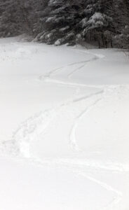 An image of ski tracks in powder snow on the Wilderness Liftline  during the Thanksgiving 2024 snowstorm at Bolton Valley Ski Resort in Vermont