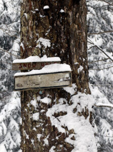 An image of an old sign for the Snow Hole trail covered with snow during a ski tour in the Wilderness area at Bolton Valley Ski Resort in Vermont