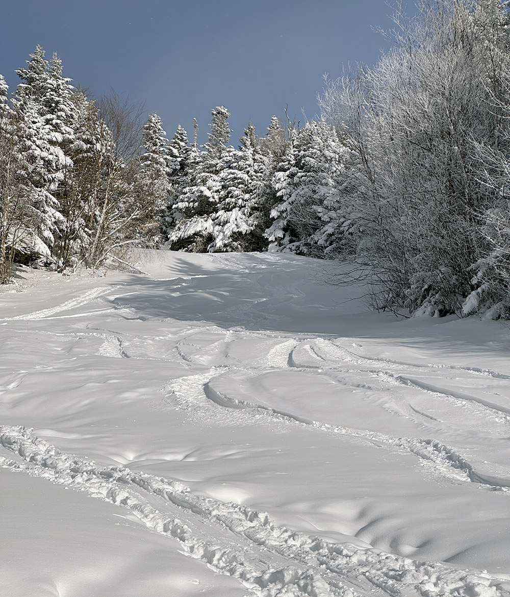 An image of ski tracks on the Twice As Nice trail during a December ski tour in the Timberline area at Bolton Valley Ski Resort in Vermont