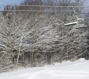 An image of powder snow on the trees and ground in the lower elevations of the Timberline area at Bolton Valley Ski Resort in Vermont