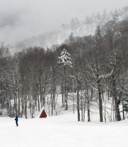 An image of Erica on the Sprig O' Pine trail off the Snowflake Double Chairlift on Christmas Eve at Bolton Valley Ski Resort in Vermont