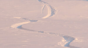 An image of ski tracks in powder snow with afternoon lighting during a ski tour in the Timberline area of Bolton Valley Ski Resort in Vermont