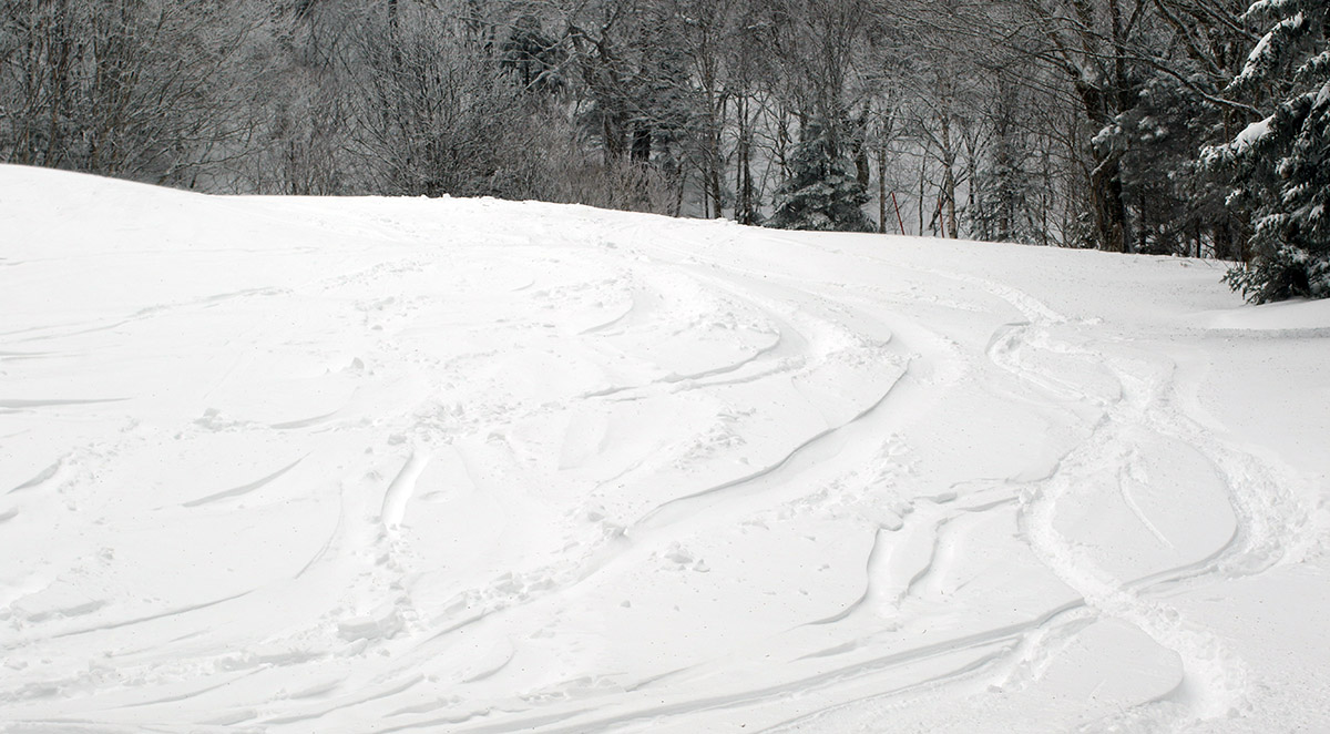 An image of ski tracks on the Peggy Dow's trail in fresh snow from an early January storm at Bolton Valley Ski Resort in Vermont