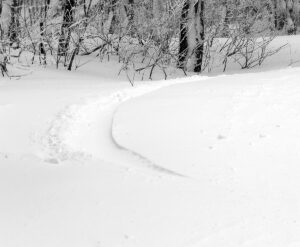 An image of a ski track in powder snow during a long-duration winter storm in January at Bolton Valley Ski Resort in Vermont 