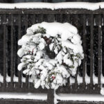 An image of a holiday wreath encrusted with snow from continuous snowfall and wind during a long-duration winter storm in January at the base lodge of the main mountain at Bolton Valley Ski Resort in Vermont