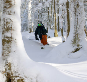 An image of Ty Telemark skiing through a contoured line in the trees in light powder in the Snow Hole/Branches area of Bolton Valley Ski Resort in Vermont