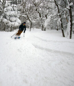 An image of a skier turning in the powder and surrounded by snowy trees during a January ski tour in the Gilpin Mountain/Domey's Dome area of the Jay Peak backcountry in Vermont