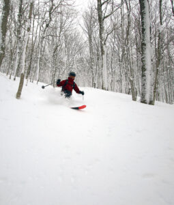 An image of Dylan Telemark skiing in powder snow in the trees during a January ski tour in the Gilpin Mountain/Domey's Dome area of the Jay Peak backcountry in Vermont